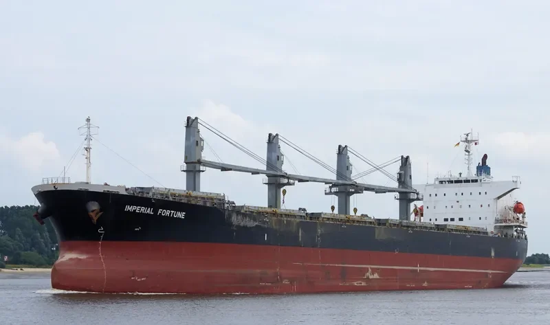IMPERIAL FORTUNE Bulk Carrier IMO 9377676 photo 5
