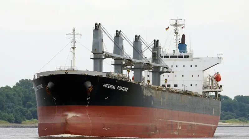 IMPERIAL FORTUNE Bulk Carrier IMO 9377676 photo 6