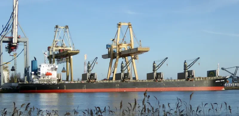 IMPERIAL FORTUNE Bulk Carrier IMO 9377676 photo 8