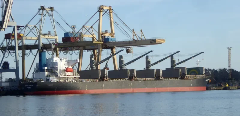 IMPERIAL FORTUNE Bulk Carrier IMO 9377676 photo 9