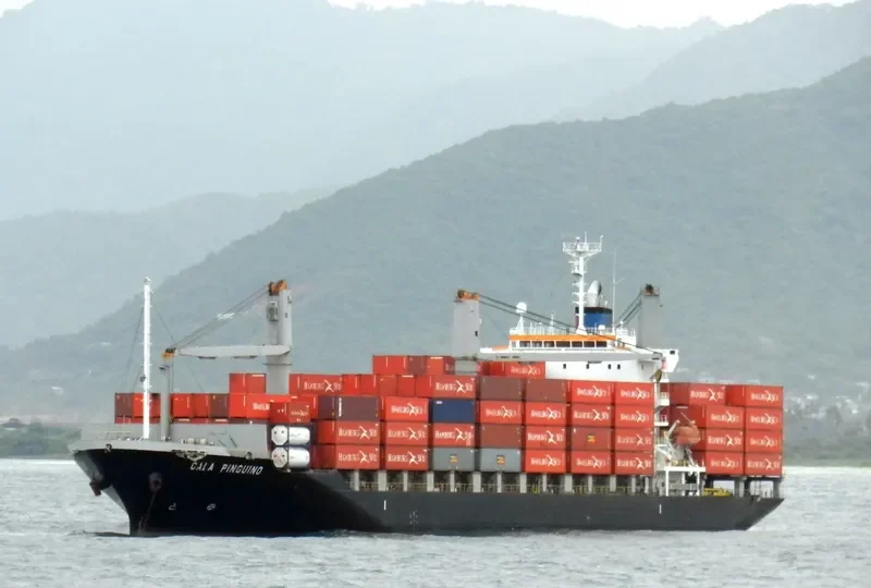 CALA PINGUINO Container Ship IMO 9377705