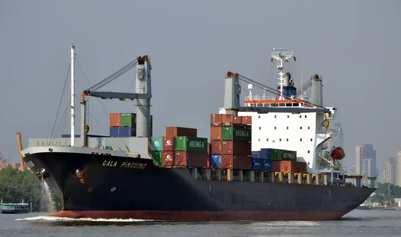 CALA PINGUINO Container Ship IMO 9377705 photo 2