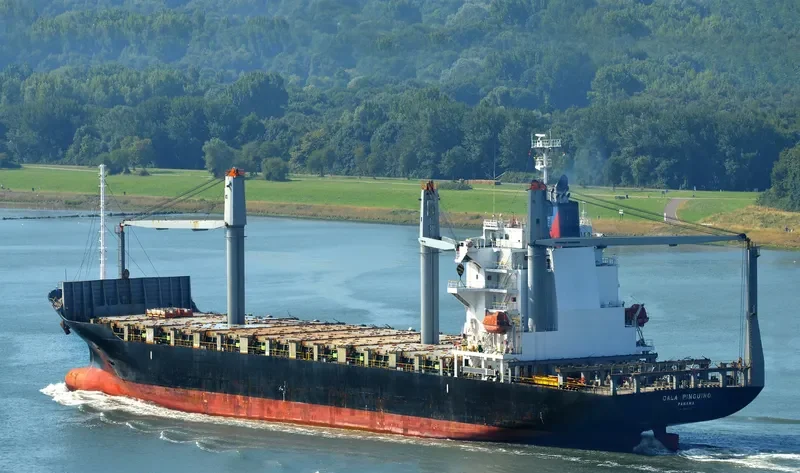 CALA PINGUINO Container Ship IMO 9377705 photo 3