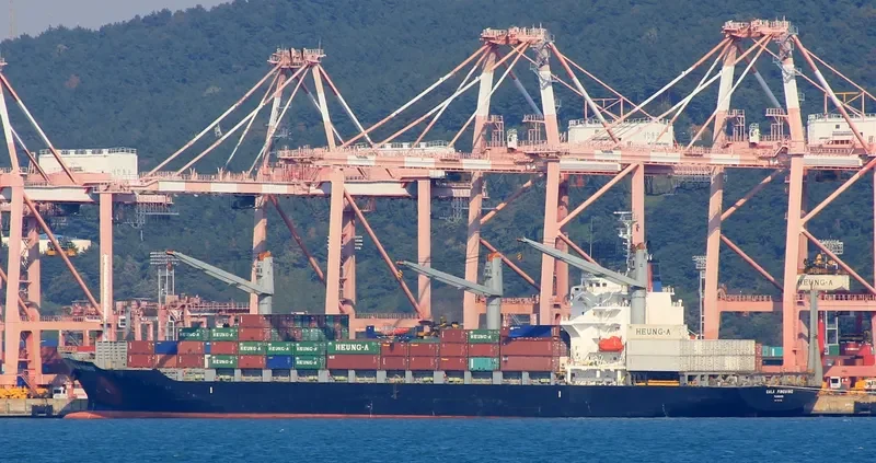 CALA PINGUINO Container Ship IMO 9377705 photo 5