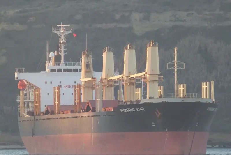 SHIMANAMI STAR Bulk Carrier IMO 9377717 photo 2
