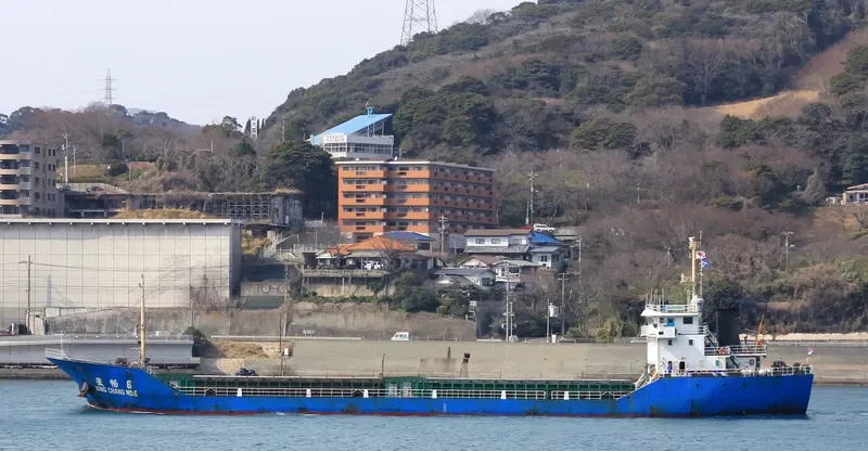 HONG GONG 6 General Cargo IMO 9377767 photo 6