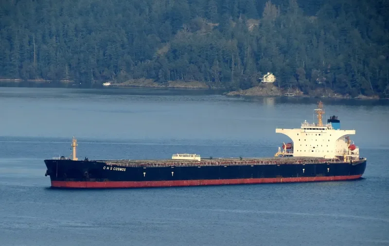 C H S COSMOS Bulk Carrier IMO 9377937