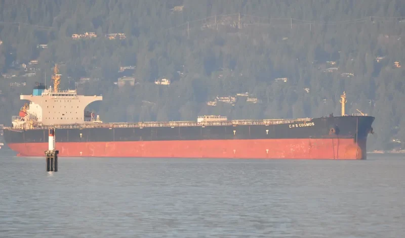 C H S COSMOS Bulk Carrier IMO 9377937 photo 4