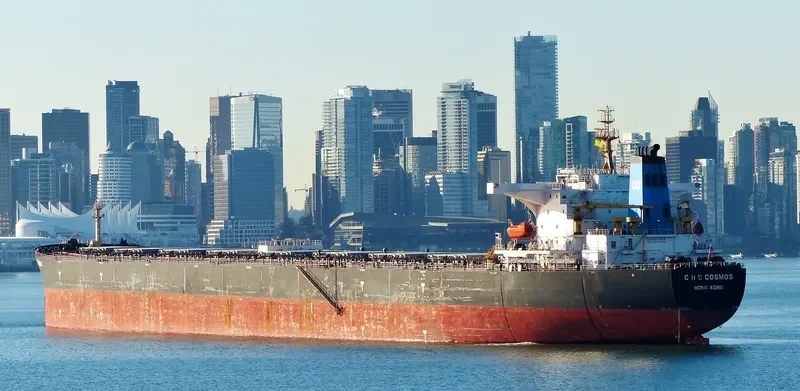 C H S COSMOS Bulk Carrier IMO 9377937 photo 5