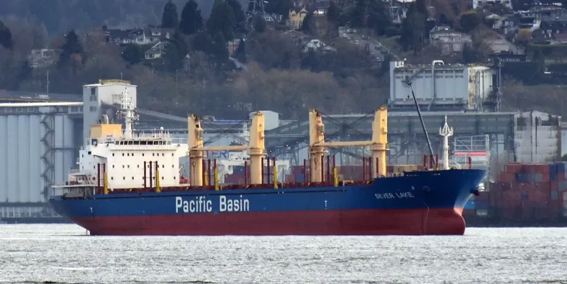 SILVER LAKE Bulk Carrier IMO 9377963