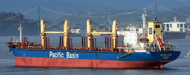 SILVER LAKE Bulk Carrier IMO 9377963 photo 2