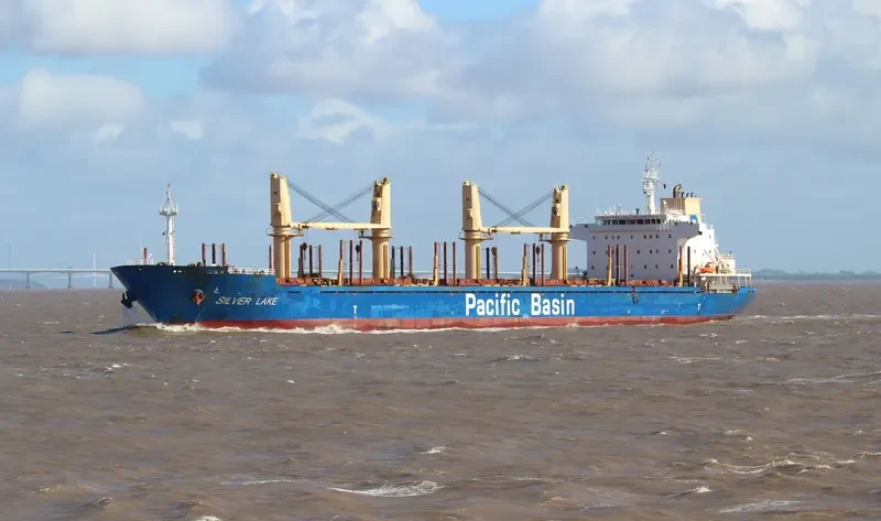 SILVER LAKE Bulk Carrier IMO 9377963 photo 3