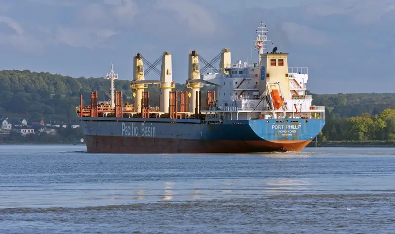 PORT PHILLIP Bulk Carrier IMO 9377975 photo 6
