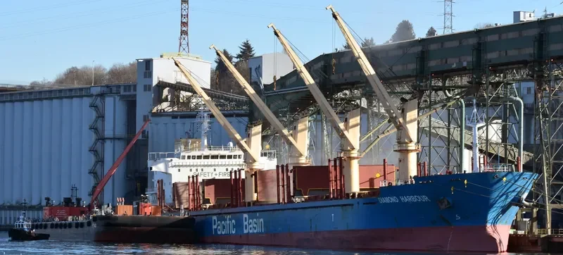 DIAMOND HARBOUR Bulk Carrier IMO 9377987 photo 4