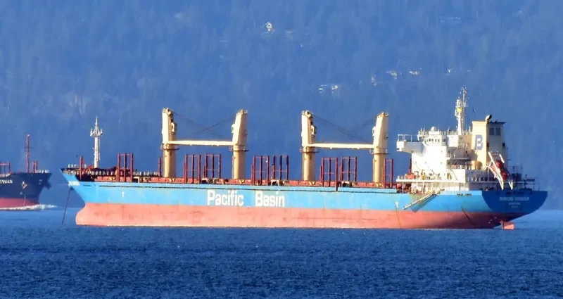 DIAMOND HARBOUR Bulk Carrier IMO 9377987 photo 7