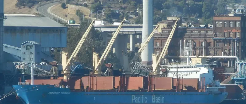 DIAMOND HARBOUR Bulk Carrier IMO 9377987 photo 8