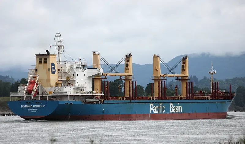 DIAMOND HARBOUR Bulk Carrier IMO 9377987 photo 9