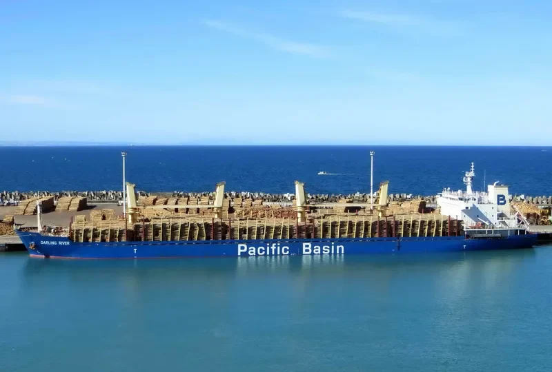 DARLING RIVER Bulk Carrier IMO 9378008