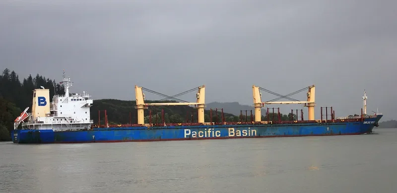 DARLING RIVER Bulk Carrier IMO 9378008 photo 4