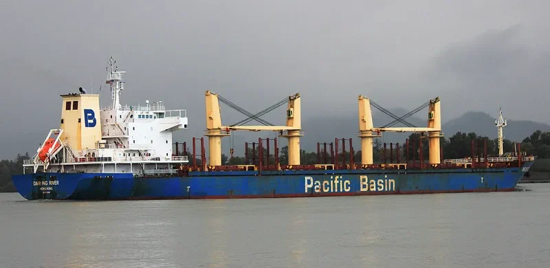 DARLING RIVER Bulk Carrier IMO 9378008 photo 5