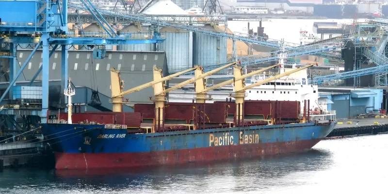 DARLING RIVER Bulk Carrier IMO 9378008 photo 7