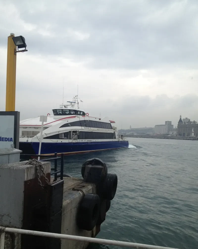 MEHMET REIS 11 Passenger Ship IMO 9378125 photo 3