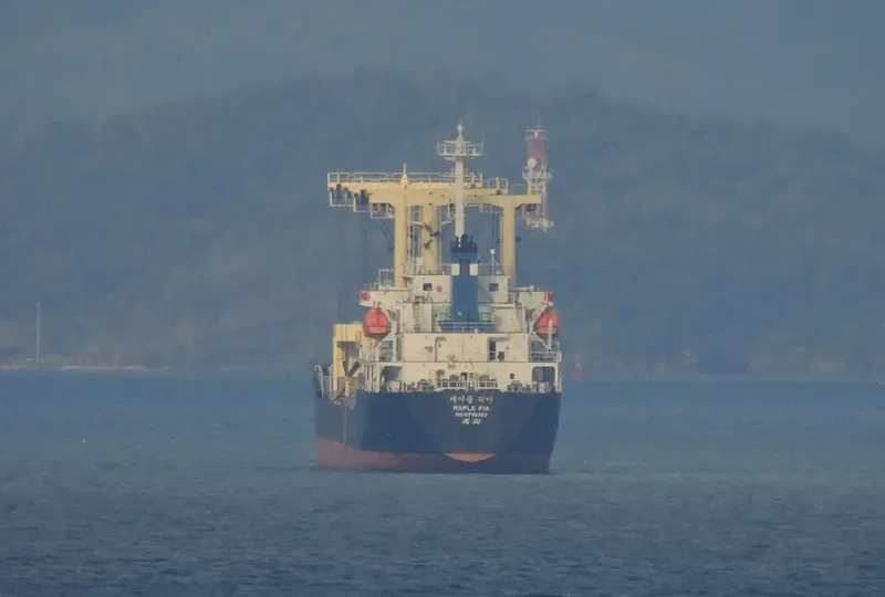 SUN OCEAN General Cargo IMO 9378383 photo 10
