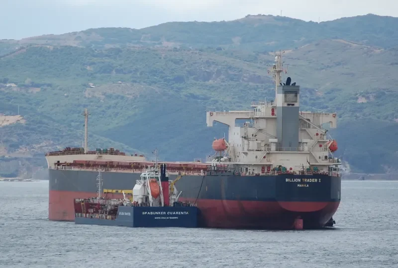 THE GUARDIAN Bulk Carrier IMO 9378395 photo 2