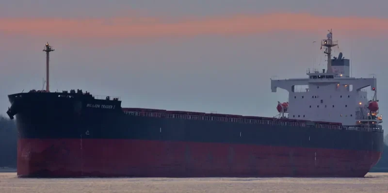 THE GUARDIAN Bulk Carrier IMO 9378395 photo 6
