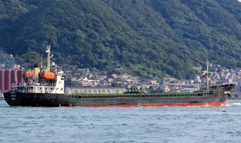 NAN XIANG Bulk Carrier IMO 9378436 photo 5