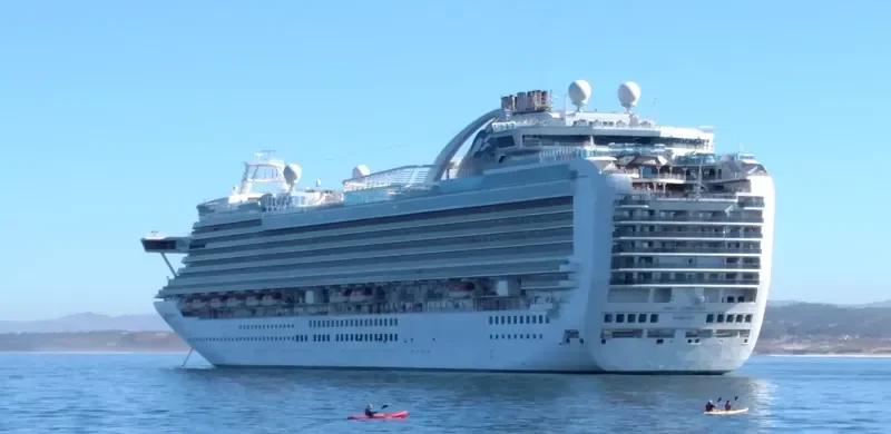 RUBY PRINCESS Passenger Ship IMO 9378462 photo 6