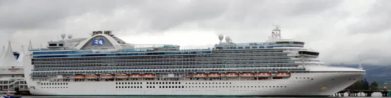 RUBY PRINCESS Passenger Ship IMO 9378462 photo 10