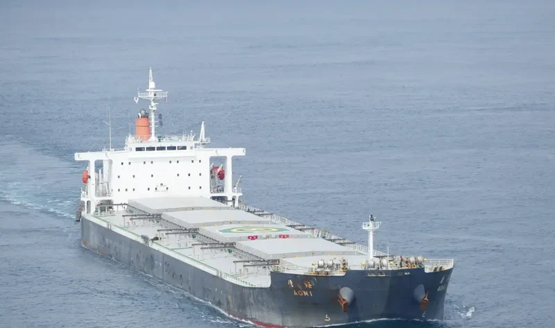 SEA PEARL Bulk Carrier IMO 9378606 photo 3