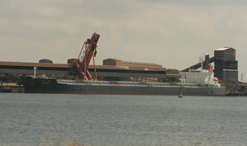 SEA PEARL Bulk Carrier IMO 9378606 photo 8