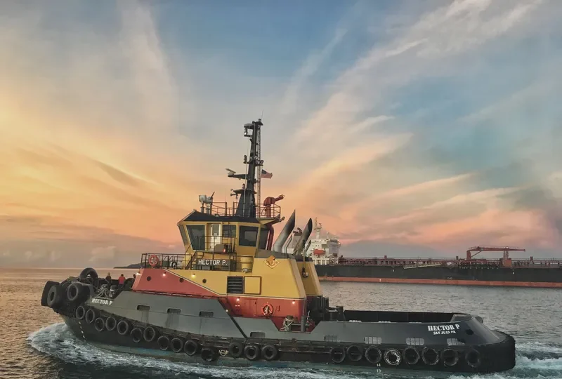 HECTOR P General Cargo IMO 9378709