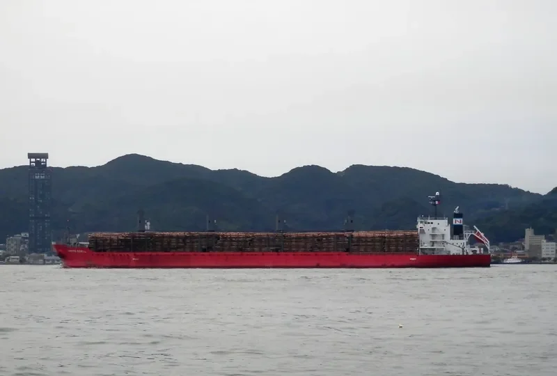 MAJESTIC MARINA Bulk Carrier IMO 9378826 photo 7