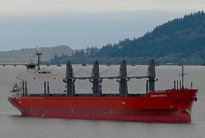 MAJESTIC MARINA Bulk Carrier IMO 9378826 photo 10
