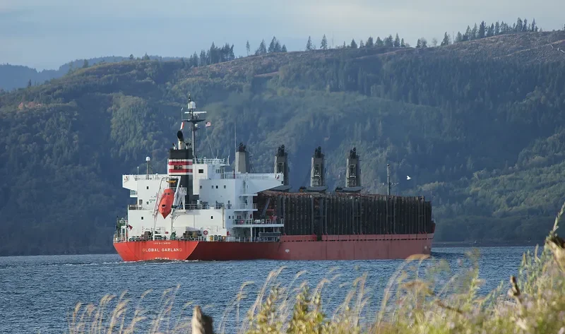SOFIA K Bulk Carrier IMO 9378838 photo 3