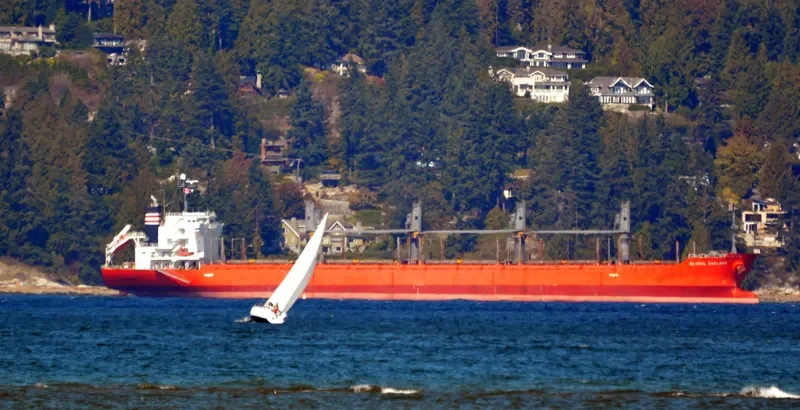 SOFIA K Bulk Carrier IMO 9378838 photo 5