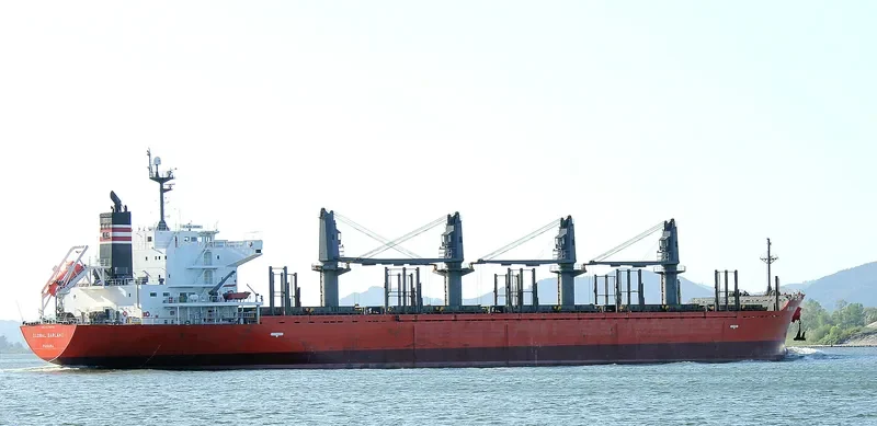 SOFIA K Bulk Carrier IMO 9378838 photo 7