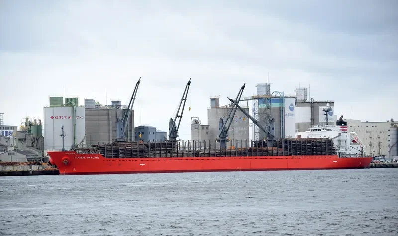 SOFIA K Bulk Carrier IMO 9378838 photo 9