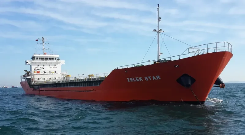 ZELEK STAR General Cargo IMO 9379117 photo 2