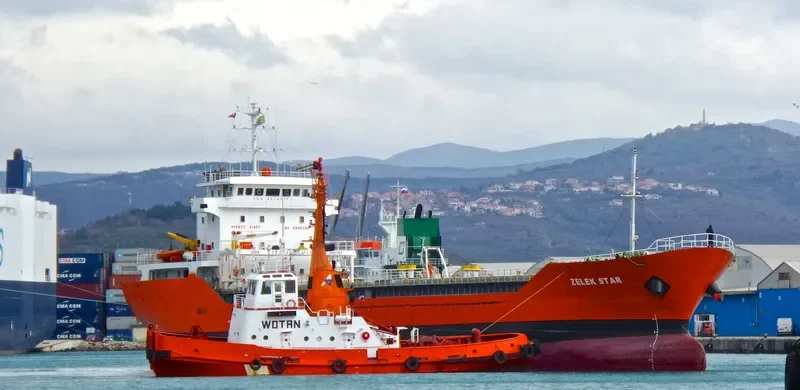 ZELEK STAR General Cargo IMO 9379117 photo 10