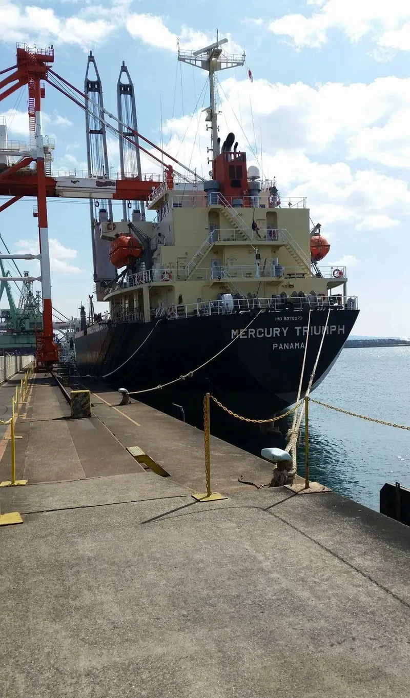 MERCURY TRIUMPH General Cargo IMO 9379272