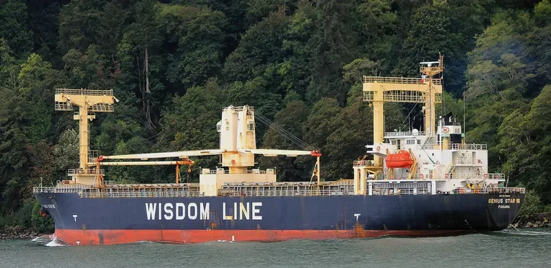 GENIUS STAR VIII General Cargo IMO 9379868 photo 2