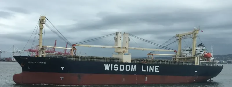 GENIUS STAR VIII General Cargo IMO 9379868 photo 6