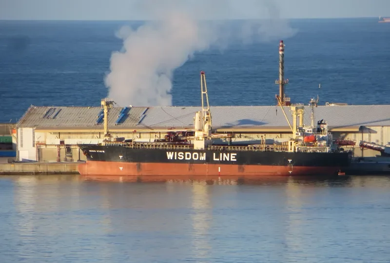 GENIUS STAR VIII General Cargo IMO 9379868 photo 7