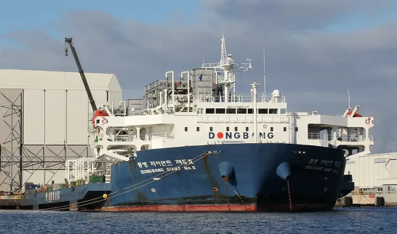 DONGBANG GIANT NO.5 General Cargo IMO 9379923 photo 2