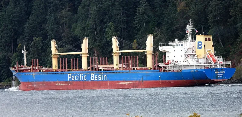 MAIPO RIVER General Cargo IMO 9379935 photo 2