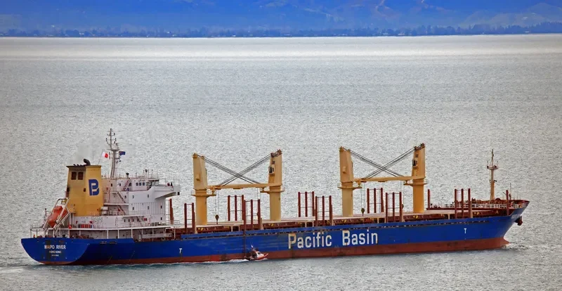 MAIPO RIVER General Cargo IMO 9379935 photo 5